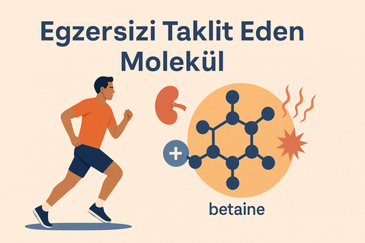 Egzersizin Etkisini Gösterecek Bir Takviye Var mıdır?