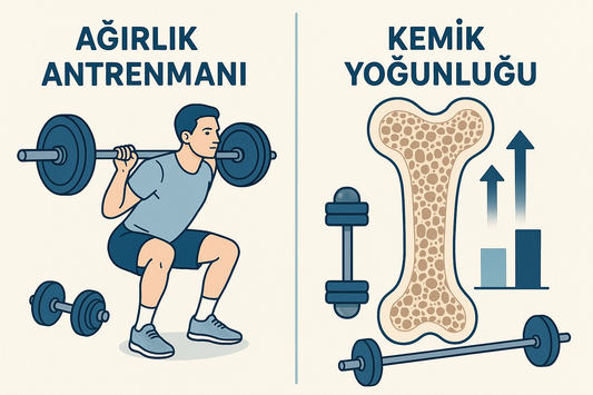 Ağırlık Kaldırma Kemik Yoğunluğunu Artırır mı?